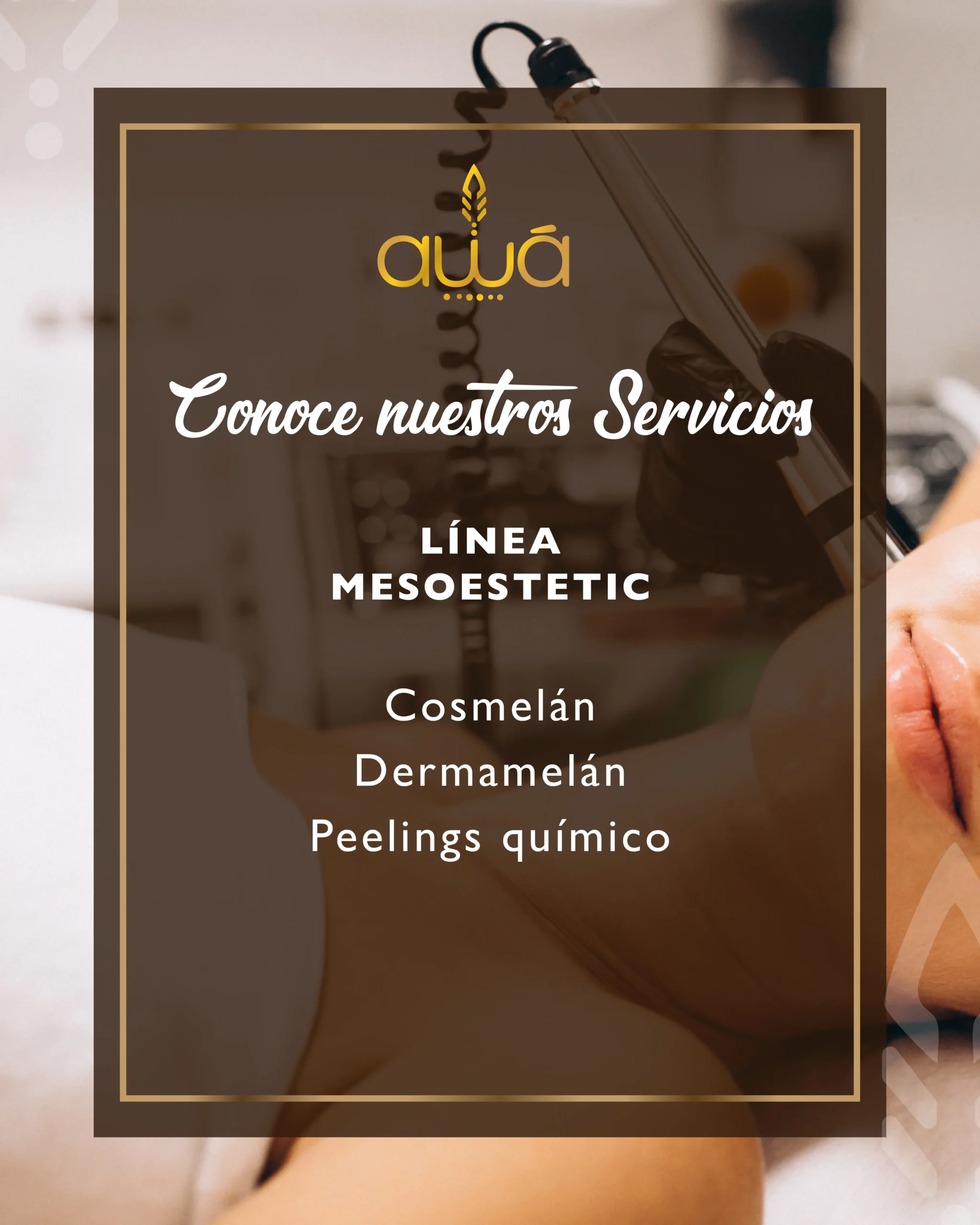 SERVICIOS_Mesa de trabajo 1 copia 2