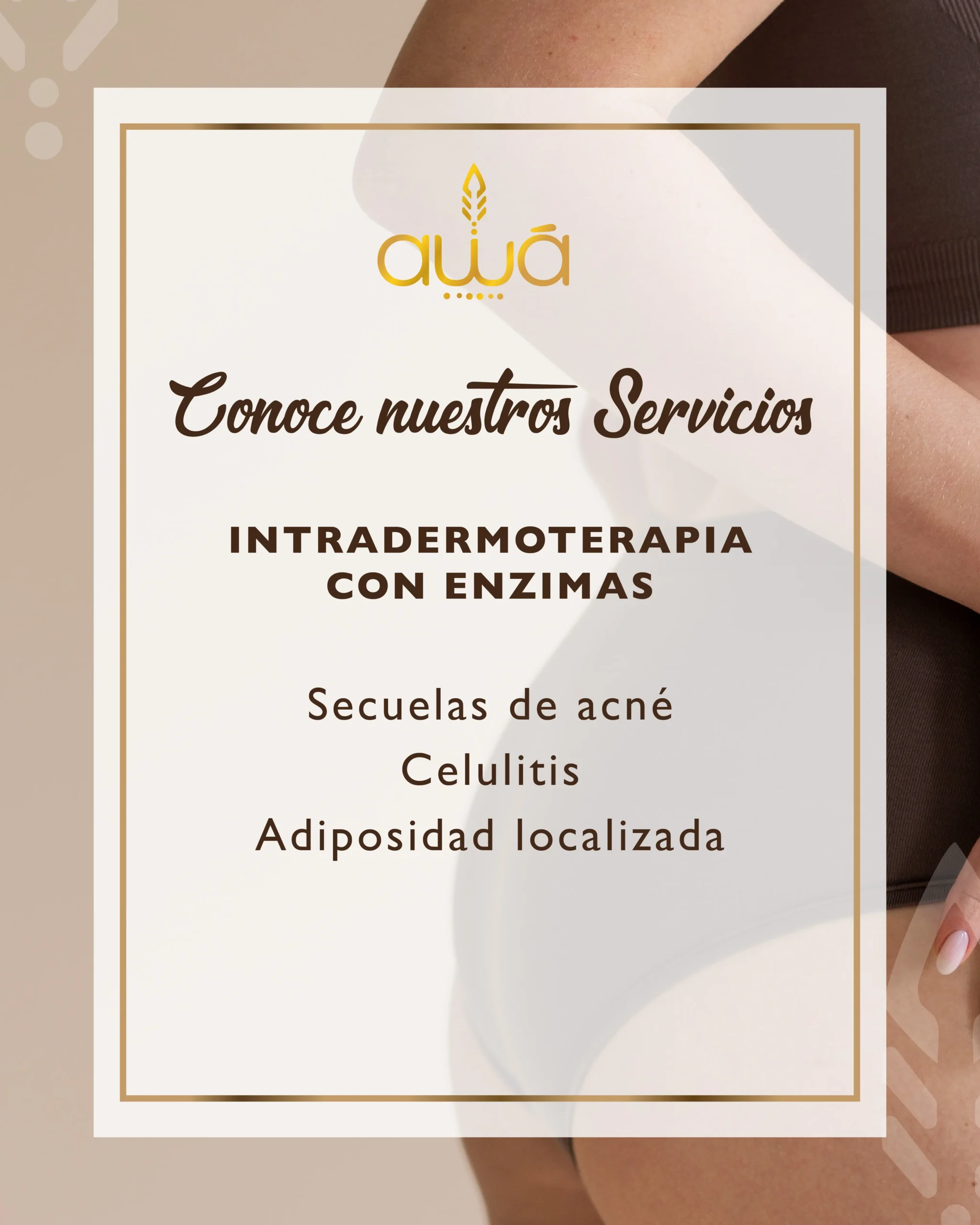 SERVICIOS_Mesa-de-trabajo-1-copia-6