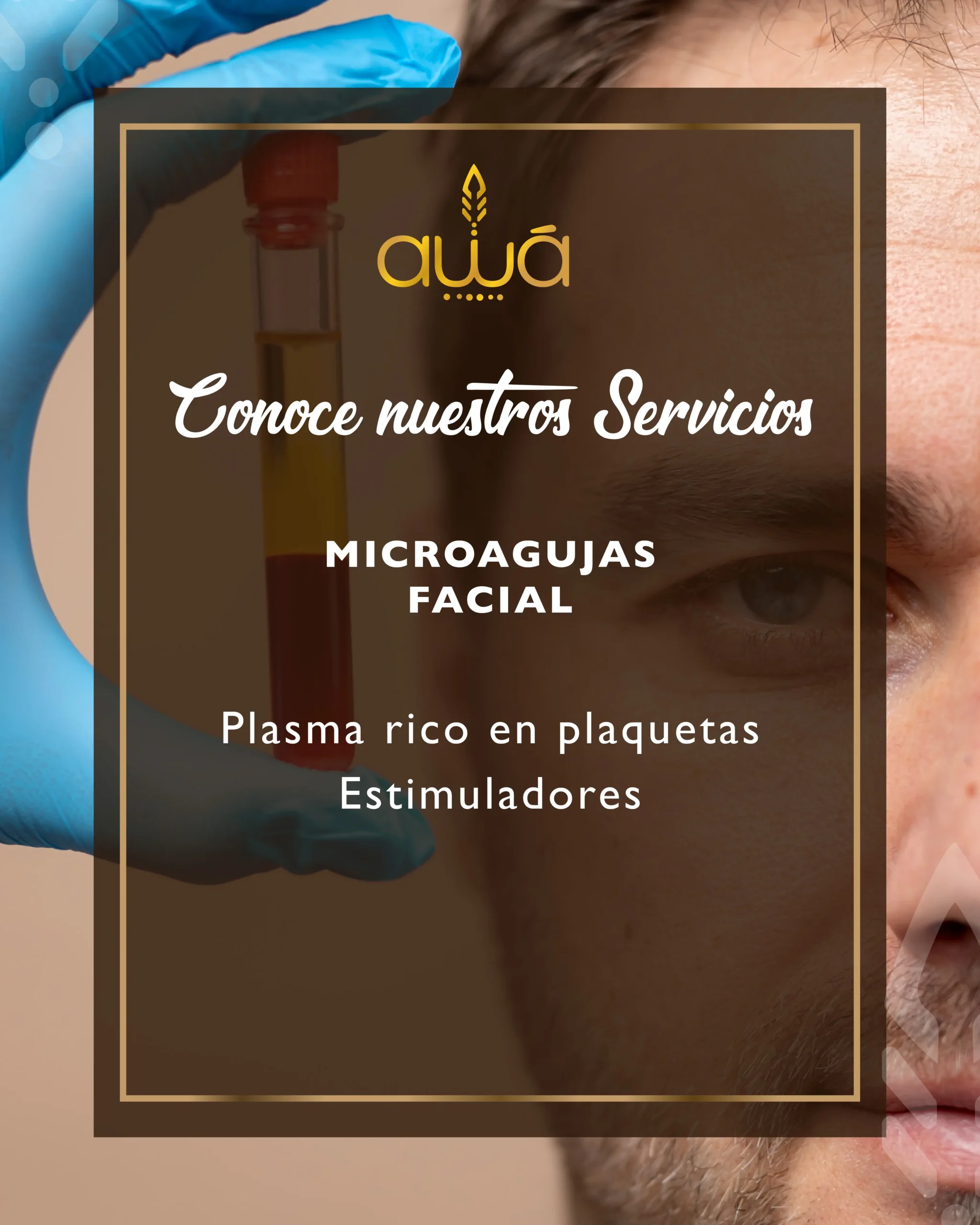 SERVICIOS_Mesa-de-trabajo-1-copia-8